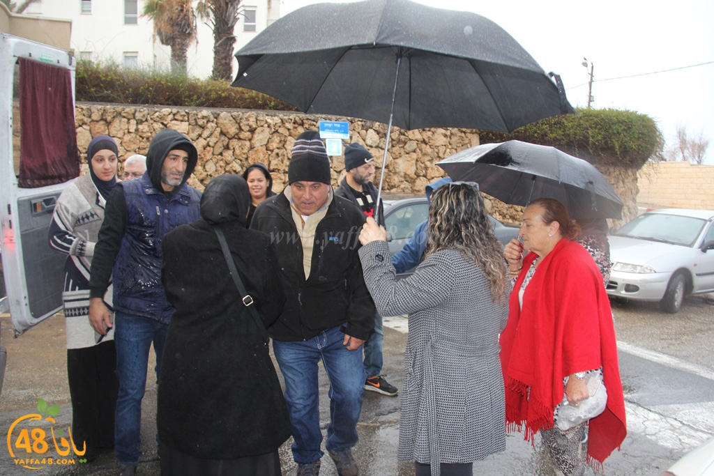 mo3mtreen eight (3).JPG